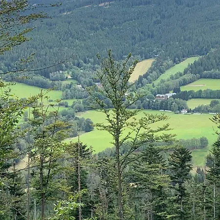 Cozy Brcalnik